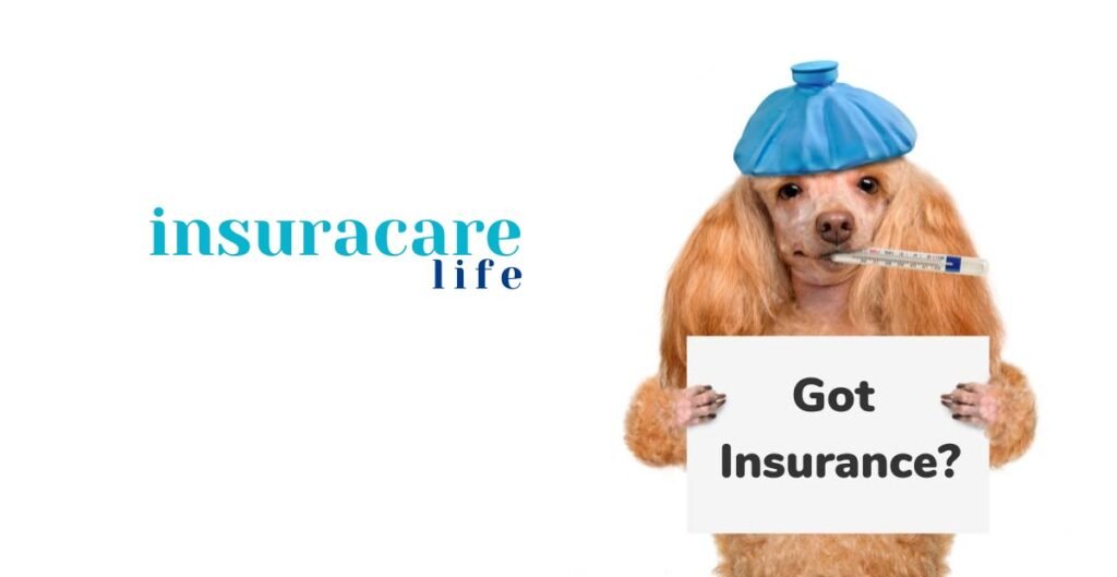 how-to-get-short-term-disability-insurance-in-california-2025