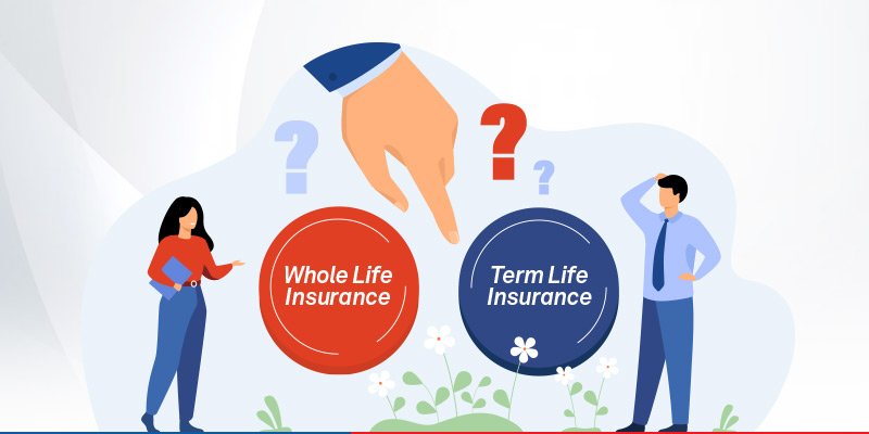 Do You Get Money Back from Whole Life Insurance in Florida?