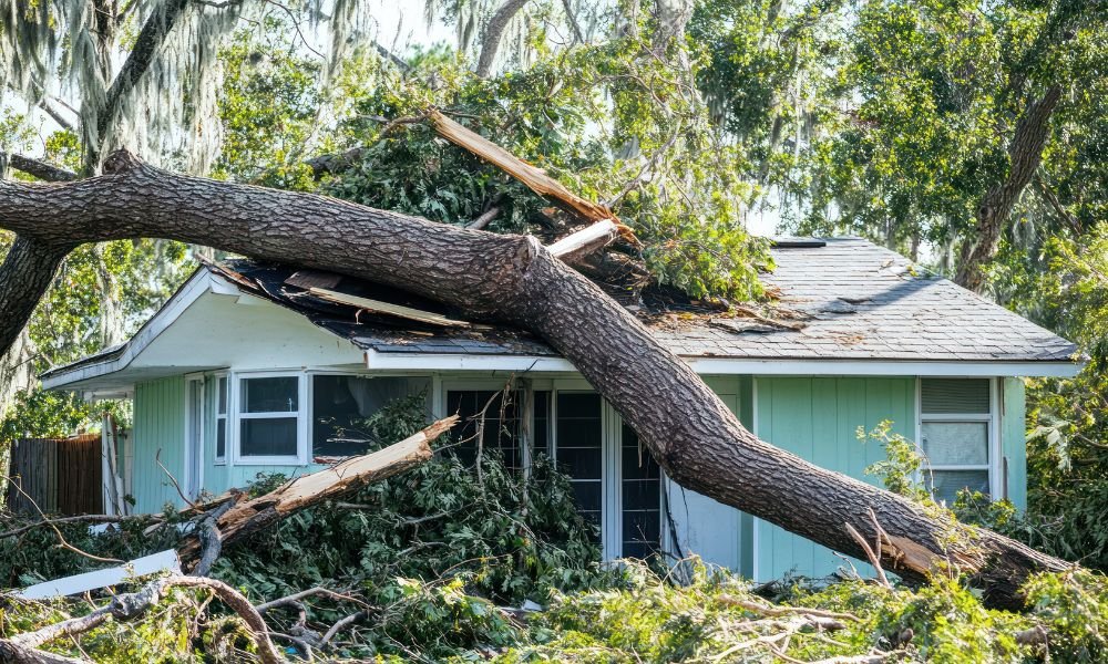 Are insurers holding enough reserves? What recent trends reveal
