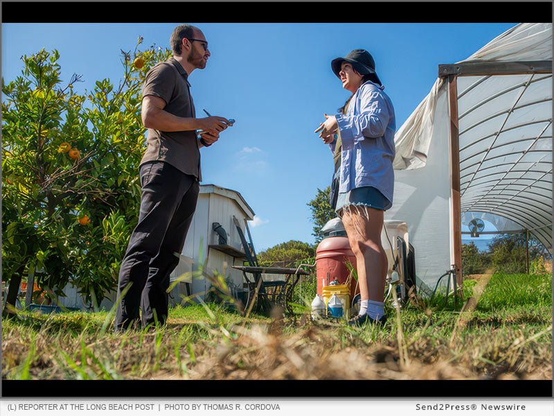 Long Beach Post and Long Beach Business Journal Join CA Nonprofit The LA Local