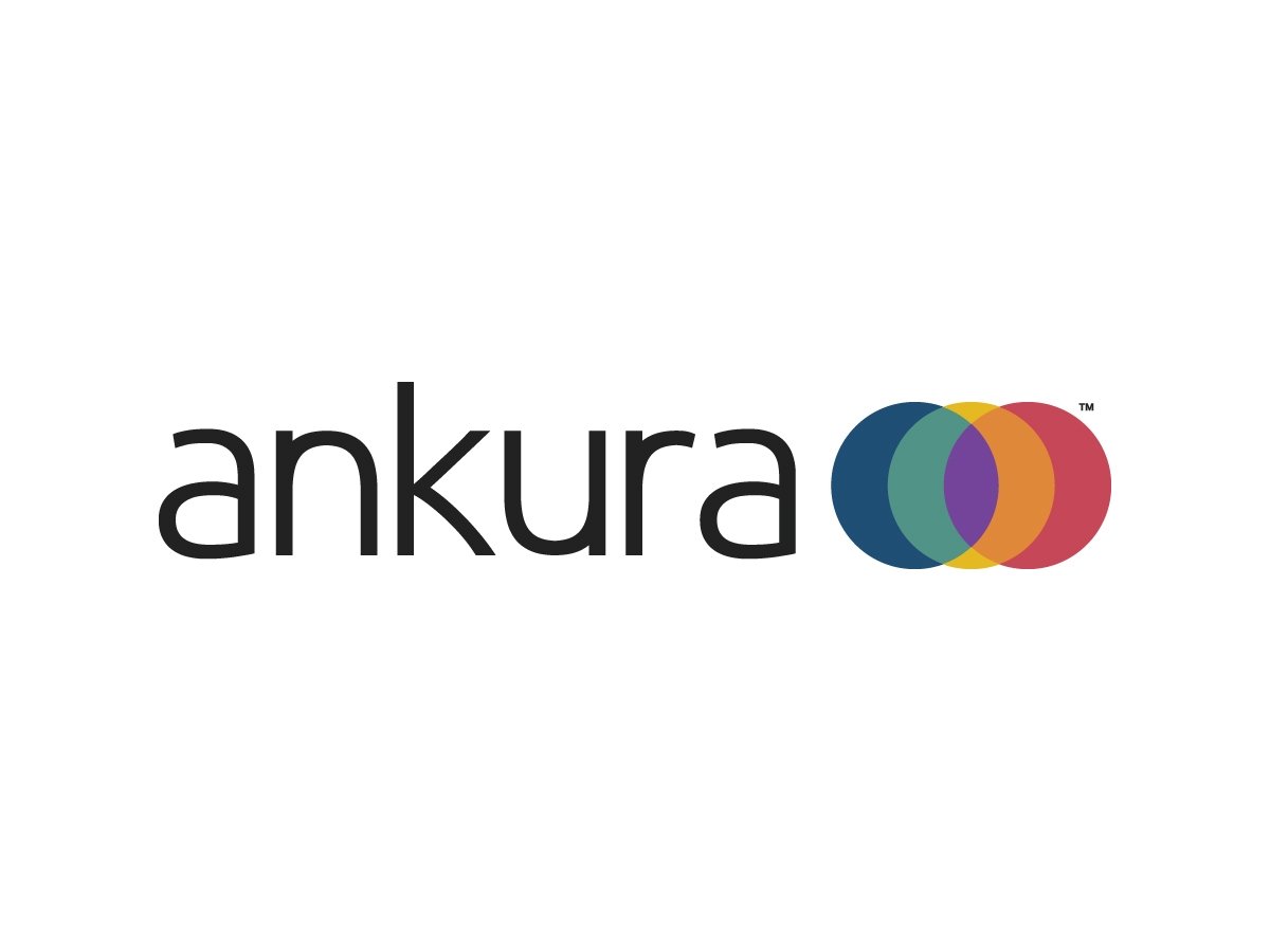The Document Few May Read and Why It Is the Most Important Thing in Your SNP | Ankura