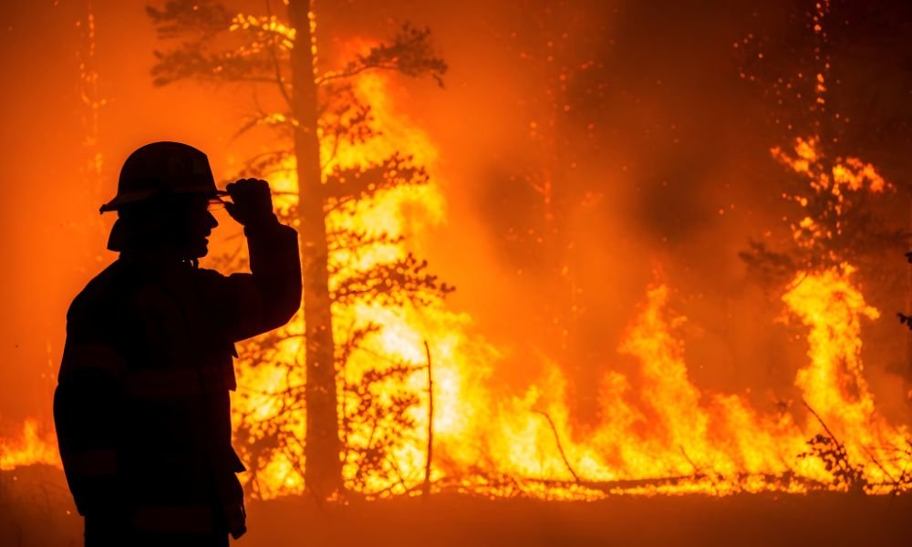 Why some insurers are using imprecise methods for risk analysis – and who gets hurt