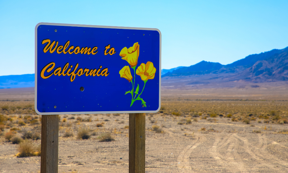 How E&S carriers are solving the problem that regulators created