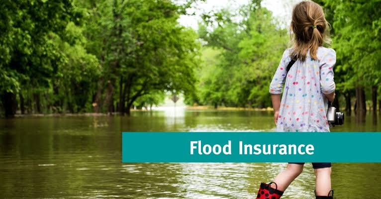 Finding Affordable Flood Insurance Providers in the United States 2026